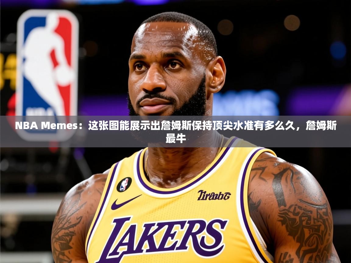 2025华体会体育网站国米赞助商NBA Memes:这张图能展示出詹姆斯保持顶尖水准有多么久,詹姆斯最牛 第3张